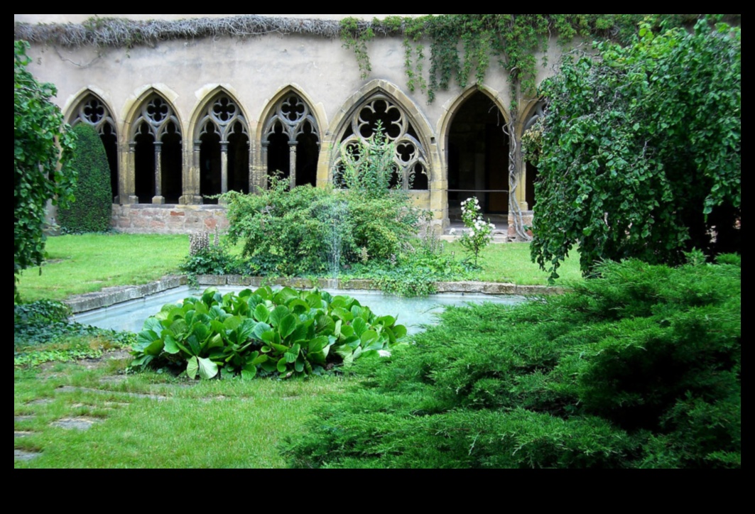 Cloistered Colors: Ζωντανές σκηνές σε γοτθικές μοναστηριακές αυλές