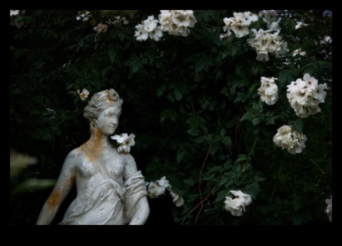 Γοτθικοί Κήποι: Βοτανικές απεικονίσεις σε Μεσαιωνική Καλλιτεχνική Έκφραση