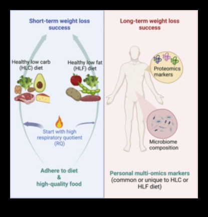 Βραχυπρόθεσμες δίαιτες και διατροφικές ανισορροπίες: Τι να προσέξετε