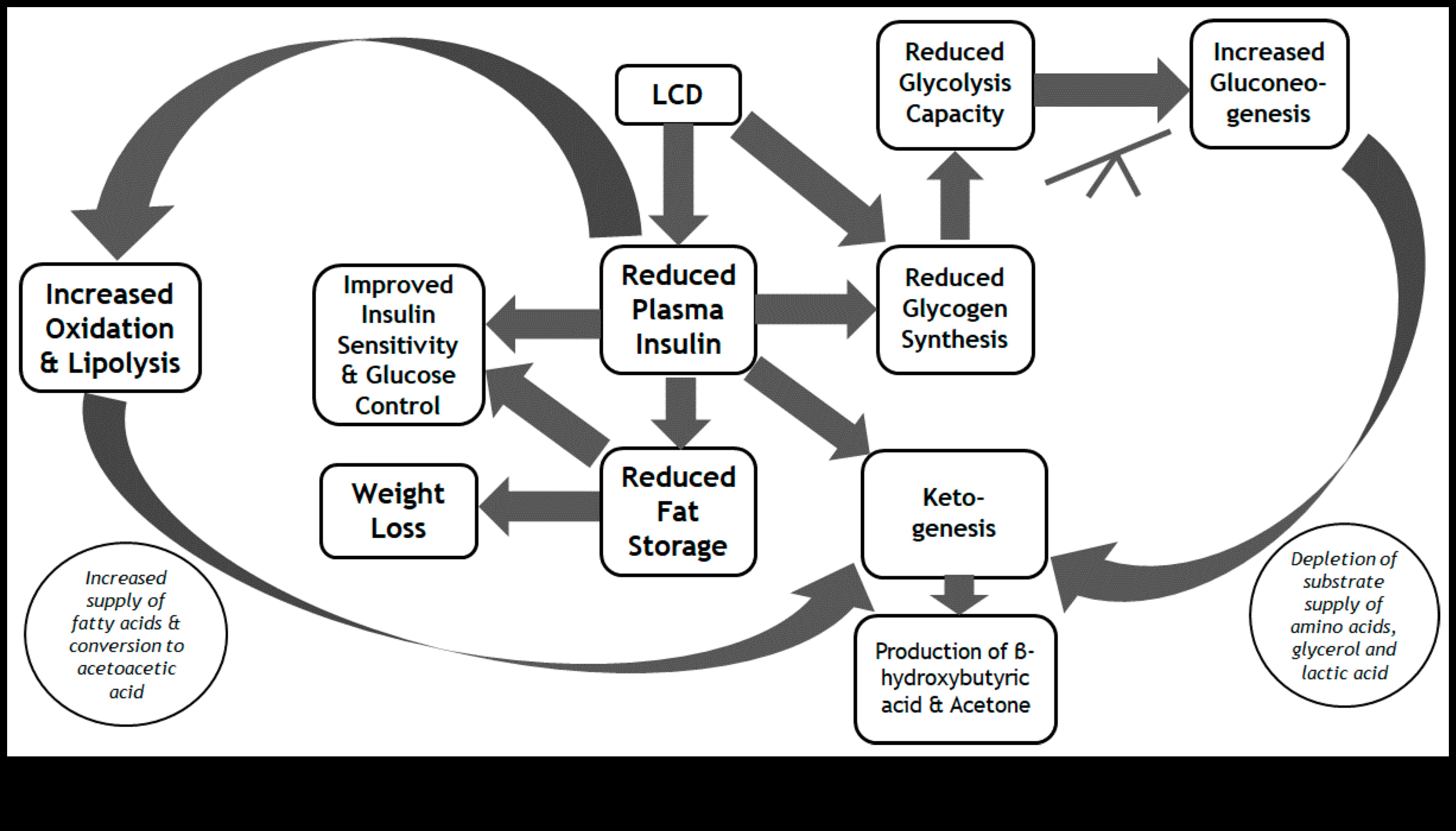 Βραχυπρόθεσμες δίαιτες και διατροφικές ανισορροπίες: Τι να προσέξετε