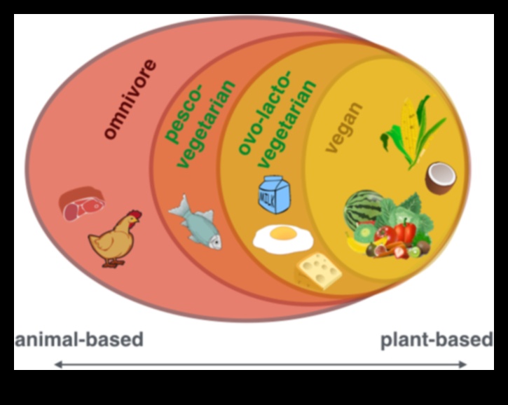 Ο βιγκανισμός και το έντερο Ποια είναι η σύνδεση 5 Βιγκανισμός και Γαστρεντερική Αρμονία: Εύρεση ισορροπίας