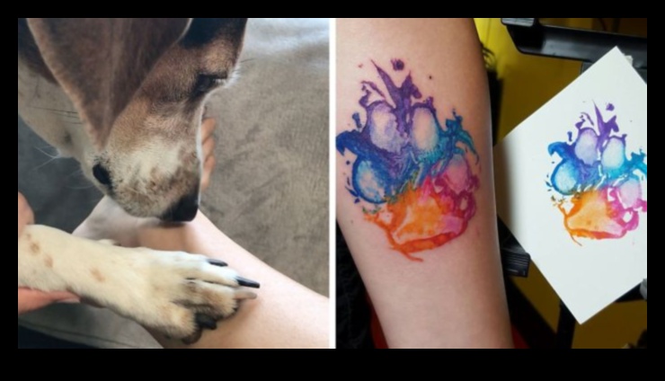 Εκτυπώσεις ποδιών με μελάνι: Αποκαλύφθηκαν χρονικά για τατουάζ ζώων