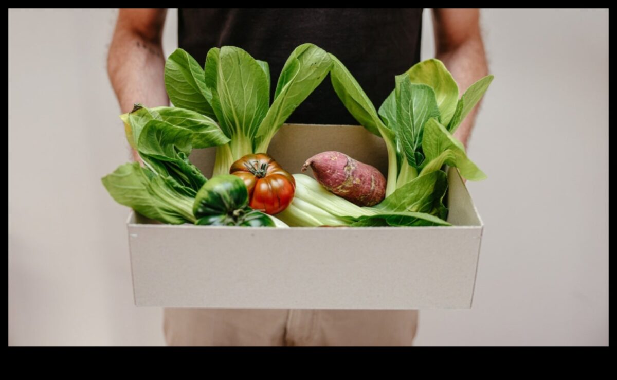 Κέτο και Περιβαλλοντική Αειφορία: Μια Ολιστική Προοπτική