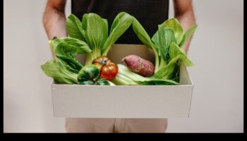 Κέτο και Περιβαλλοντική Αειφορία: Μια Ολιστική Προοπτική