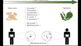 Βιγκανισμός και Γαστρεντερική Αρμονία: Εύρεση ισορροπίας