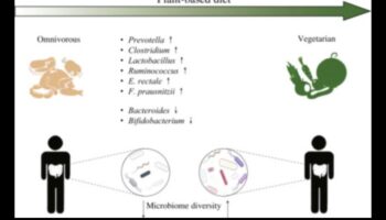 Βιγκανισμός και Γαστρεντερική Αρμονία: Εύρεση ισορροπίας