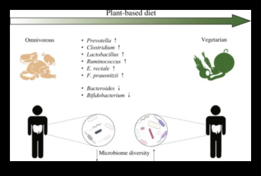 Ο βιγκανισμός και το έντερο Ποια είναι η σύνδεση 1 Βιγκανισμός και Γαστρεντερική Αρμονία: Εύρεση ισορροπίας