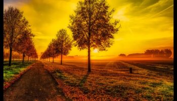 Λεπτομερείς στιγμές: Η λεπτομερής προσέγγιση του ρεαλισμού στην τέχνη