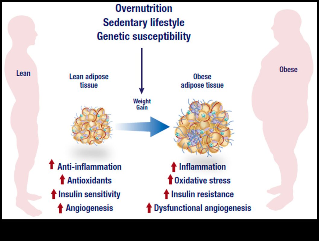 Η σύνδεση μεταξύ της φλεγμονής και της δίαιτας απώλειας βάρους