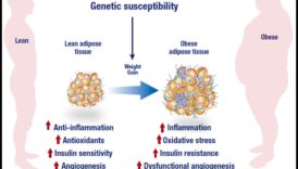 Η σύνδεση μεταξύ της φλεγμονής και της δίαιτας απώλειας βάρους