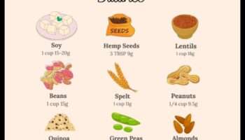 Δίαιτες με υψηλή περιεκτικότητα σε πρωτεΐνες και ρύθμιση ορμονών: Μια ολιστική άποψη